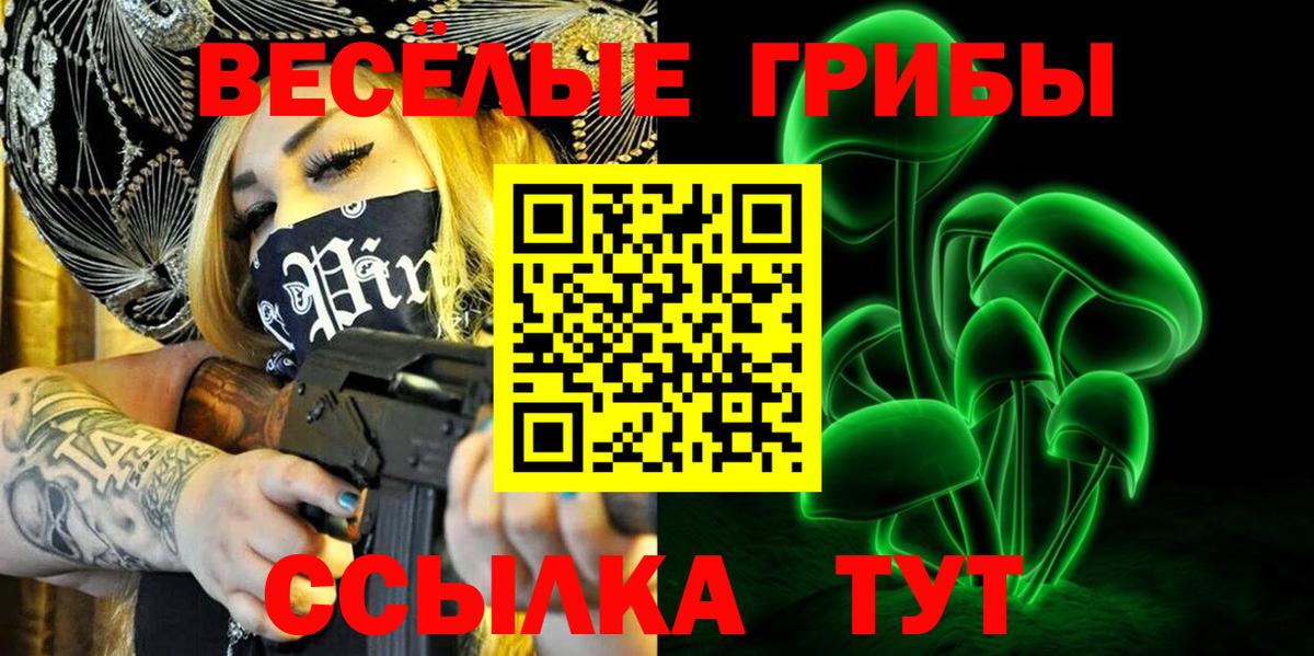 Псилоцибиновые грибы GOLDEN TEACHER Сургут
