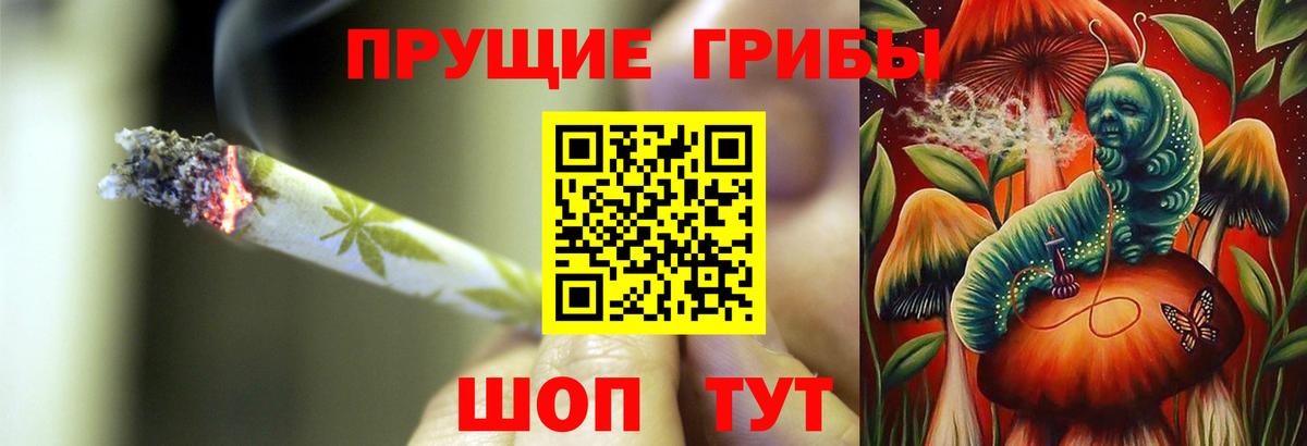 Сургут  Галлюциногенные грибы Psilocybe  Вход с VPN 